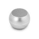 Guess GUWSALGEG Mini Bluetooth Skaļrunis Pelēks
