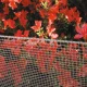 Plastmasas aizsargsiets QUADRA 10, 1x5 m, acs 10x10 mm, sudraba