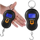 Ruhhy 26103 Digital Luggage Scale, 50 kg Hanging Scale