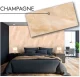 Dekoratīvais sienas panelis CHAMPAGNE 500x1000mm
