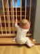 Bērnu drošības vārti/barjera, 72-122 cm | Baby Safety Gate