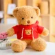 Plush Teddy Bear in Sweater 40cm