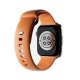 Puro Icon Strap for Apple Watch 44/45/46/49mm, Orange