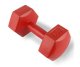 4Fizjo Dumbbells Weight for Fitness Aerobics Sports Training 2x3kg, Red