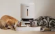 Умная автоматическая кормушка Petlibro Granary с двойной миской, Wifi, 5л,...