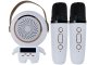 Portable Karaoke Machine with 2 Wireless Microphones and Bluetooth Speaker