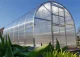 Теплица Кlasika 36 (3X12M) С Фундаментом И Покрытием Из Поликарбоната...