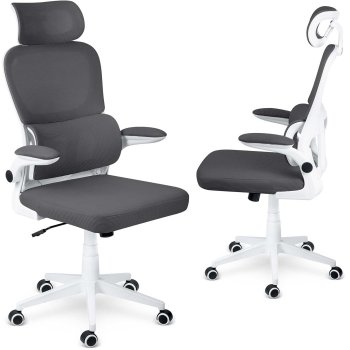 Ergonomisks biroja krēsls Sofotel Formax, grafīta