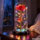 Mūžīgā roze stikla kupolā ar RGB LED apgaismojumu