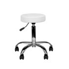 Adjustable Hairdresser Master Chair Beauty Salon and Spa Stool AM-310, White