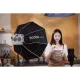 Godox ML100 Bi-color Kit 1 LED video gaisma