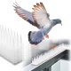 Plastic Bird and Pigeon Repellent Spikes, White, 43 cm, 8 pcs