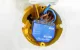 Smart Controller Shelly 1 Gen4 Zigbee Matter 16A
