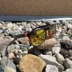 Trizand Polarizētas Sporta Velo Saulesbrilles UV400, Oranžā | Sports Sunglasses Outdoor Sports Cycling Glasses