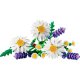 Конструктор LEGO Botanicals 11508 Маргаритки (Daisies)