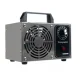 Генератор Озона Bigstren 21208 | Ozone Generator