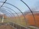 Siltumnīca KLASIKA TUBE 3x6 m (18 m2) ar pamata profilu un 4 mm polikarbonātu