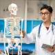 Cilvēka skeleta anatomiskais modelis 4FIZJO 180 cm ar statīvu