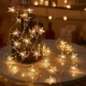 Telcon LED virtene Zvaigznītes 10m 80 LED USB, silti balta