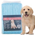 Verk Group Hygienic Dog Training Pads 45x60 cm, 50 pcs