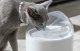 Catlink Pure 2 UV Smart Pet Water Fountain, 2.6L, Gray