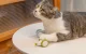 Cheerble Wicked Mouse Интерактивная Умная Игрушка для Питомцев Кошки...