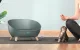 Petoneer Cozy Sofa viedā mājdzīvnieku gulta ar termoregulāciju