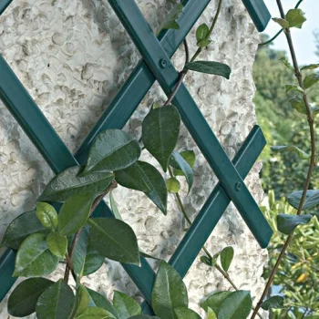 TREPLAS Decorative Expandable Plastic Lattice Trellis 1 x 2 m, Green