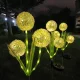 Saules lampa dārzam Forever Light SUNARI FLS-95 Dekoratīvais ķiploks 3000K 600mAh