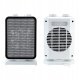 Carruzzo Electric Thermo Fan Heater for Home Office, 1000/1500W