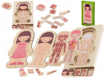 Koka attīstošā mīkla "Montessori" anatomija, ķermeņa daļu izpēte, meitene | Wooden educational puzzle anatomy,...