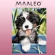 Maaleo Картина по номерам 40x30 см, Собака