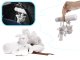 Rotaļlietas Grabulis Virs Bērnu Gultas Krēsla, Dzīvnieki | Baby Chair Carriers Cribs Pendant Toys Rattle