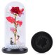 Eternal Rose in Glass Dome with RGB LED Light and Figurine
