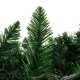 Ruhhy Christmas Pine Garland with LED Lights, 2.7m