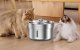 Rojeco Stainless Steel Pet Water Fountain 2L RYSJ-11 Quiet Dispenser