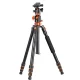 Statīvs K&F Concept T254A4 ar lodveida galvu BH-28L