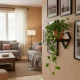 Настенная полка для цветов ModernHome в стиле лофт подвесная...