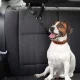 Drošības josta sunim stiprināšanai pie auto galvas balsta, 45-80 cm, melna