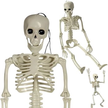 Human Skeleton Hanging 40Cm Halloween Decoration Artificial