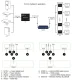Удлинитель HDMI сигнала по витой паре до 200м 1080P