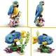 Lego Creator 31136 Экзотический попугай