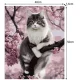 Maaleo Картина по номерам 40x50 см, Котенок