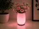 Dekoratīva galda lampa un vāze 2-in-1 LED RGB ar pulti, Ecru