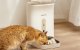 PetWant F11-C Automatic Feeder Bowl Container Food Dispenser for Dogs Cats with Camera
