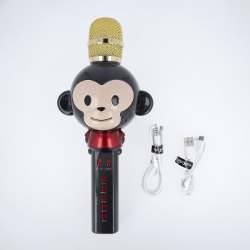Maxlife MX-100 Bezvadu Bluetooth Bērnu Karaoke Mikrofons ar Iebūvētu Skaļruni (BEZ ORIĢINĀLĀ IEPAKOJUMA)