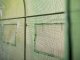 Dārza tuneļa siltumnīcas plēve 2x3 m (6 m2), Plonos, zaļa