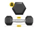 4FIZJO HEX Steel Dumbbell 1 x 2.5 kg, Black