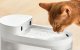 Сменные фильтры для поилки Catlink Pure 3 (3 шт.)