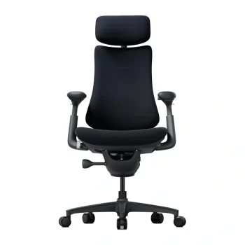 Libernovo Omni 48cm ergonomiskais krēsls, melns